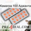 Камагра 100 Аджанта 27